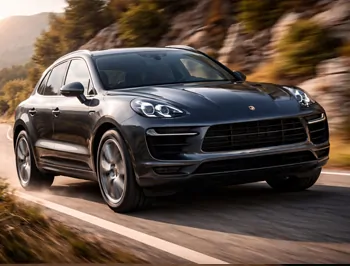 Чип-тюнинг турбодизельных двигателей Porsche TD