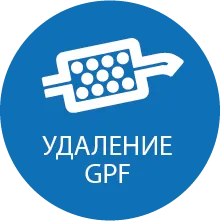 Там, где это применимо, мы можем отключить функциональность программного обеспечения и мониторинг бензинового сажевого фильтра, что позволит снять его с автомобиля.